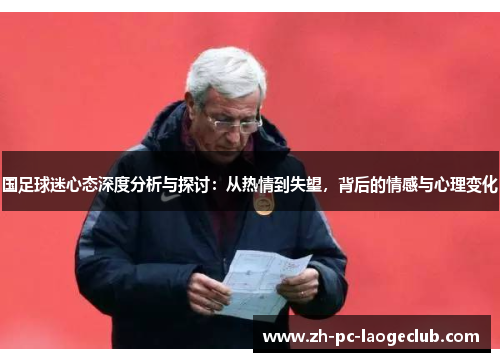国足球迷心态深度分析与探讨：从热情到失望，背后的情感与心理变化