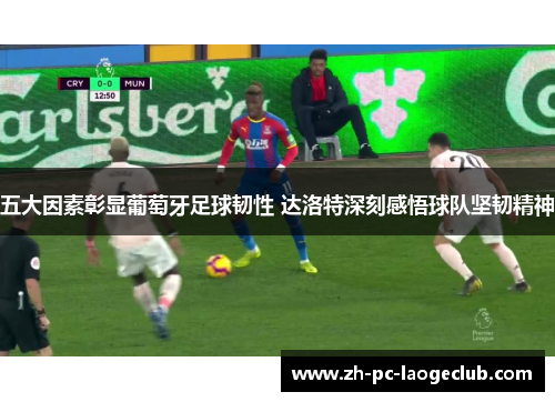 五大因素彰显葡萄牙足球韧性 达洛特深刻感悟球队坚韧精神