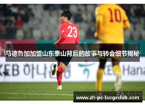 马德鲁加加盟山东泰山背后的故事与转会细节揭秘