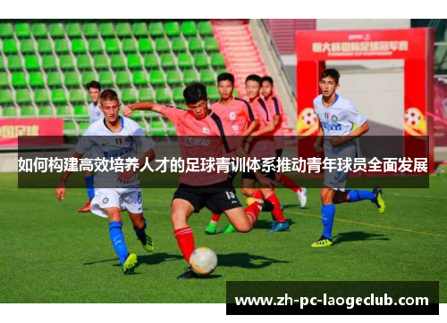 如何构建高效培养人才的足球青训体系推动青年球员全面发展
