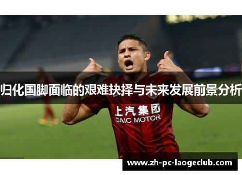 归化国脚面临的艰难抉择与未来发展前景分析